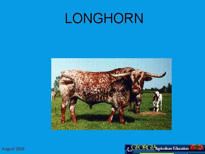 LONGHORN August 2008 