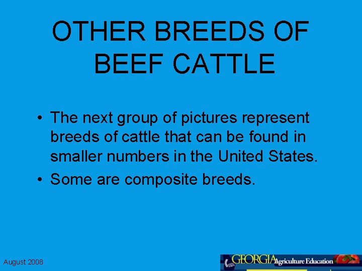 OTHER BREEDS OF BEEF CATTLE • The next group of pictures represent breeds of