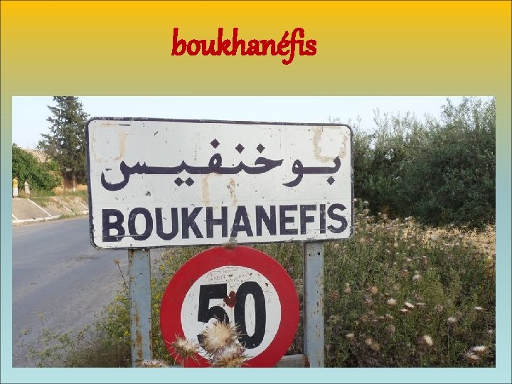 boukhanéfis 