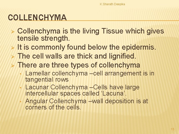 K. Sharath Deepika COLLENCHYMA Ø Ø Collenchyma is the living Tissue which gives tensile