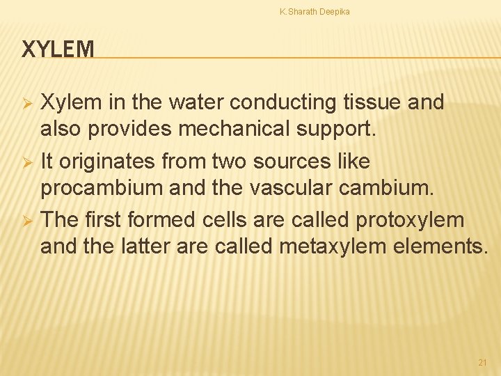 K. Sharath Deepika XYLEM Xylem in the water conducting tissue and also provides mechanical