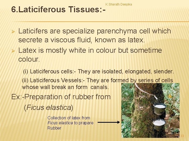 6. Laticiferous Tissues: Ø Ø K. Sharath Deepika Laticifers are specialize parenchyma cell which