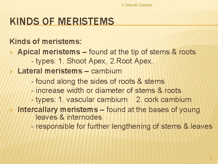 K. Sharath Deepika KINDS OF MERISTEMS Kinds of meristems: Ø Apical meristems – found