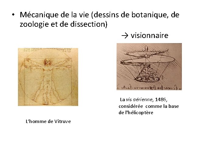  • Mécanique de la vie (dessins de botanique, de zoologie et de dissection)