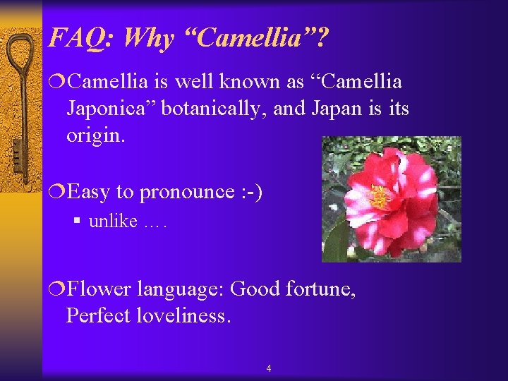 FAQ: Why “Camellia”? ¦Camellia is well known as “Camellia Japonica” botanically, and Japan is FAQ: Why “Camellia”? ¦Camellia is well known as “Camellia Japonica” botanically, and Japan is
