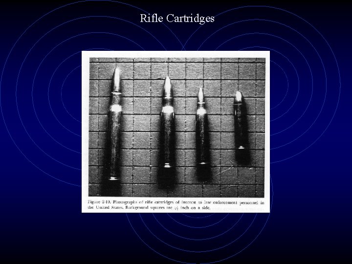 Rifle Cartridges 