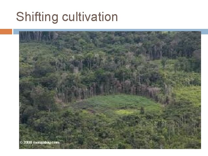 Shifting cultivation Shifting cultivation