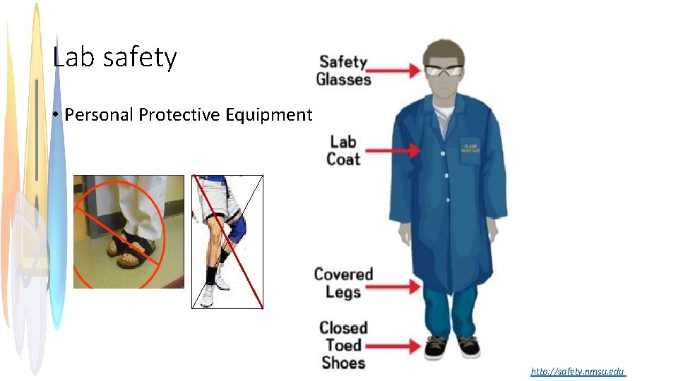 Lab safety • Personal Protective Equipment http: //safety. nmsu. edu 