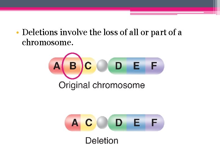  • Deletions involve the loss of all or part of a chromosome. 