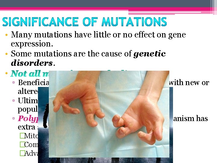  • Many mutations have little or no effect on gene expression. • Some