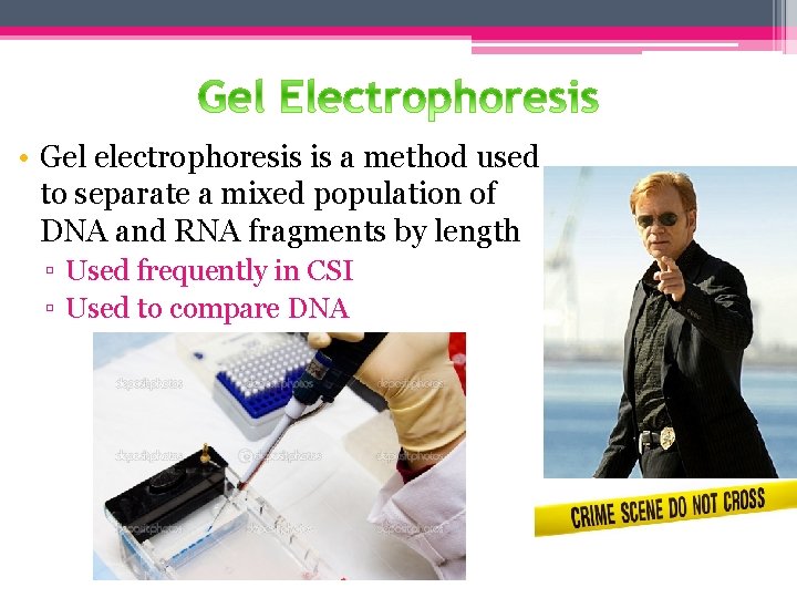  • Gel electrophoresis is a method used to separate a mixed population of