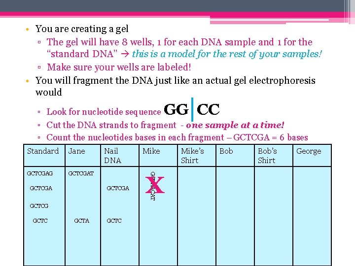  • You are creating a gel ▫ The gel will have 8 wells,