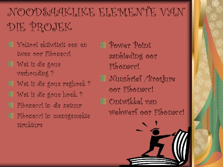 NOODSAAKLIKE ELEMENTE VAN DIE PROJEK Voltooi aktiwiteit een en twee oor Fibonacci Wat is