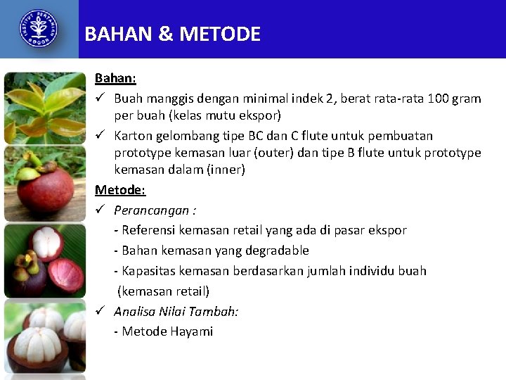 BAHAN & METODE Bahan: ü Buah manggis dengan minimal indek 2, berat rata-rata 100