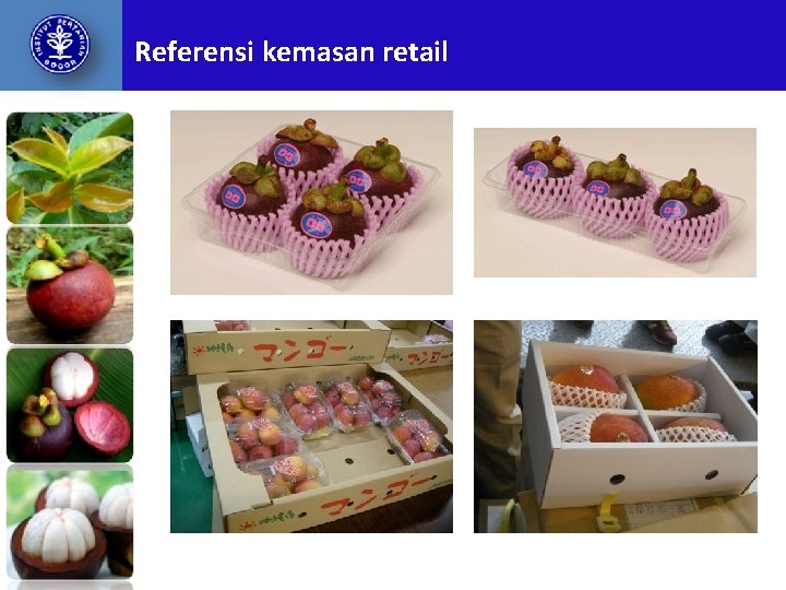 Referensi kemasan retail 