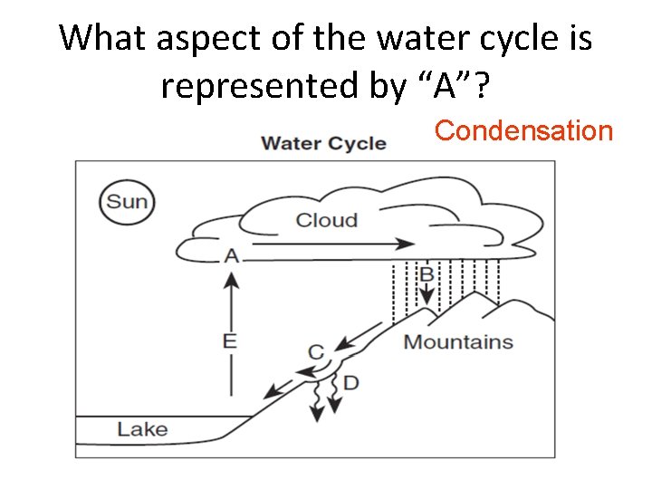 What aspect of the water cycle is represented by “A”? Condensation 