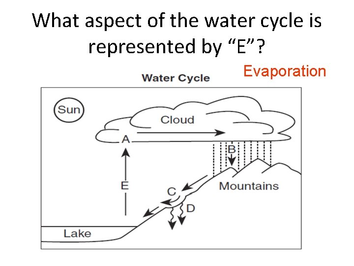 What aspect of the water cycle is represented by “E”? Evaporation 