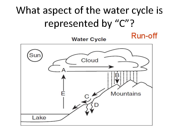 What aspect of the water cycle is represented by “C”? Run-off 