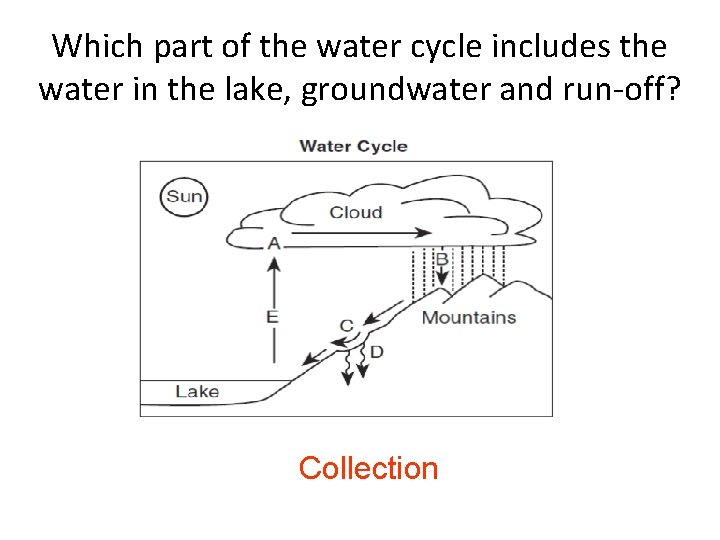 Which part of the water cycle includes the water in the lake, groundwater and
