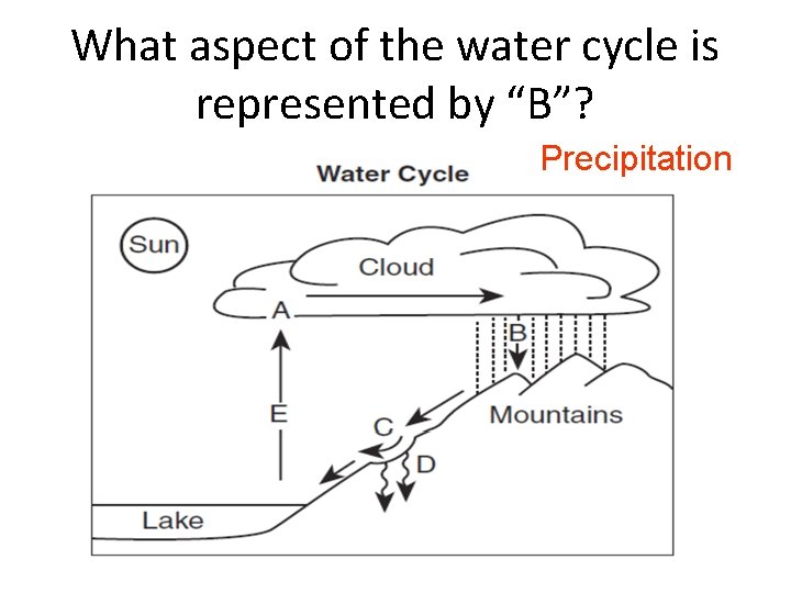 What aspect of the water cycle is represented by “B”? Precipitation 