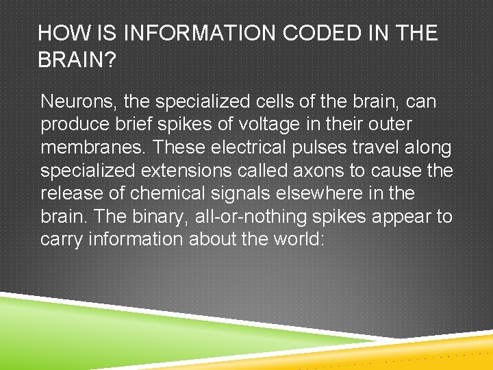 HOW IS INFORMATION CODED IN THE BRAIN? Neurons, the specialized cells of the brain,