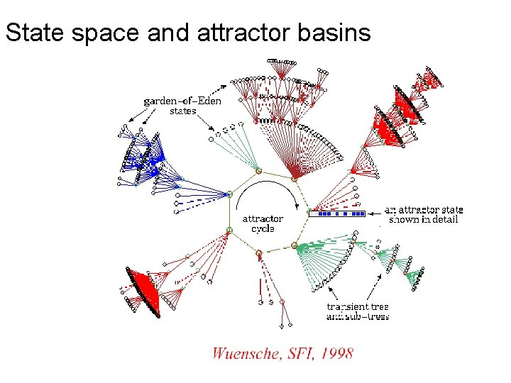 State space and attractor basins 