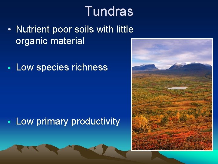 Tundras • Nutrient poor soils with little organic material § Low species richness §