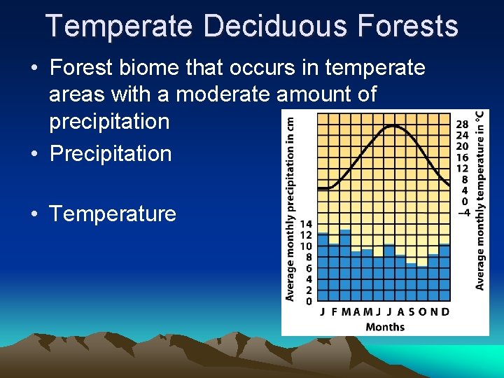 Temperate Deciduous Forests • Forest biome that occurs in temperate areas with a moderate