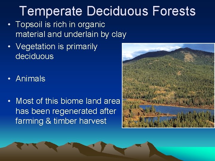 Temperate Deciduous Forests • Topsoil is rich in organic material and underlain by clay