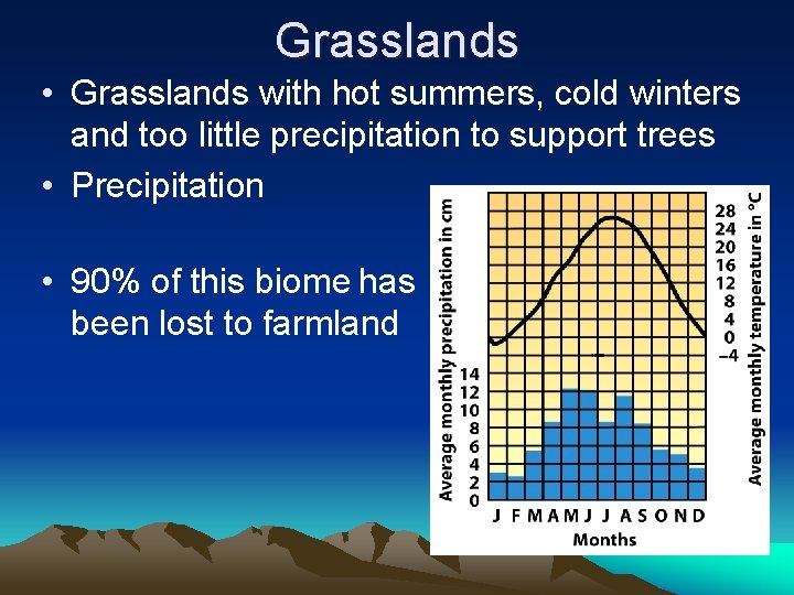 Grasslands • Grasslands with hot summers, cold winters and too little precipitation to support