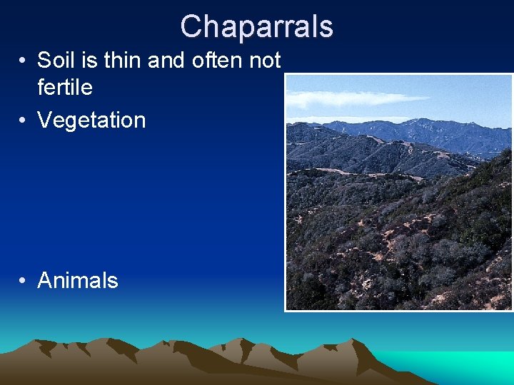 Chaparrals • Soil is thin and often not fertile • Vegetation • Animals 