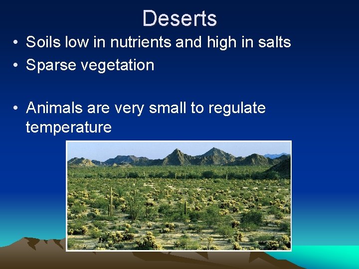 Deserts • Soils low in nutrients and high in salts • Sparse vegetation •