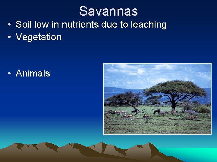 Savannas • Soil low in nutrients due to leaching • Vegetation • Animals 