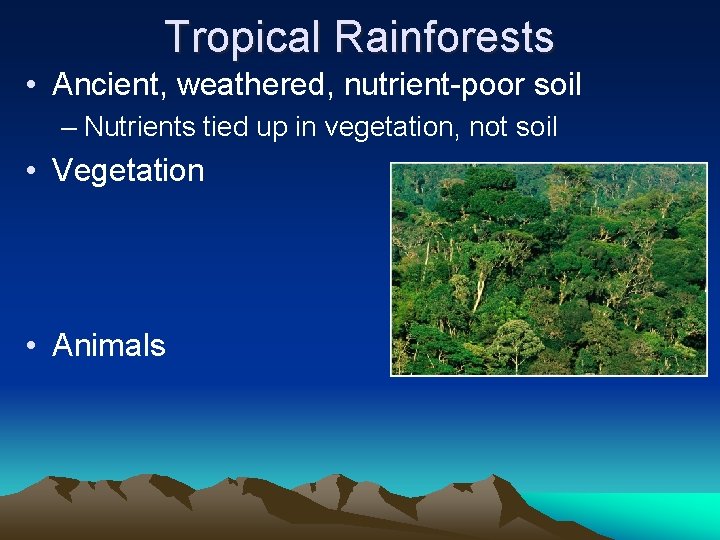 Tropical Rainforests • Ancient, weathered, nutrient-poor soil – Nutrients tied up in vegetation, not