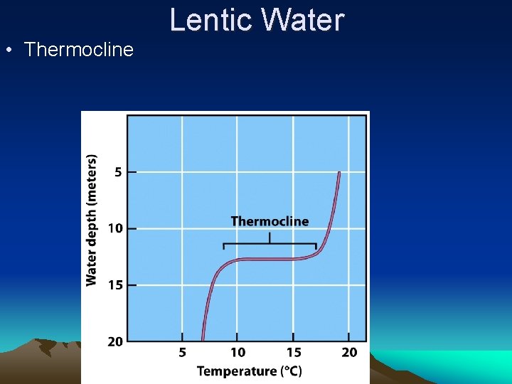  • Thermocline Lentic Water 