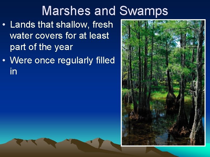 Marshes and Swamps • Lands that shallow, fresh water covers for at least part