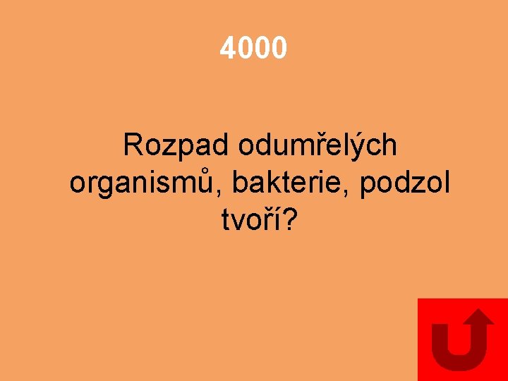 4000 Rozpad odumřelých organismů, bakterie, podzol tvoří? 