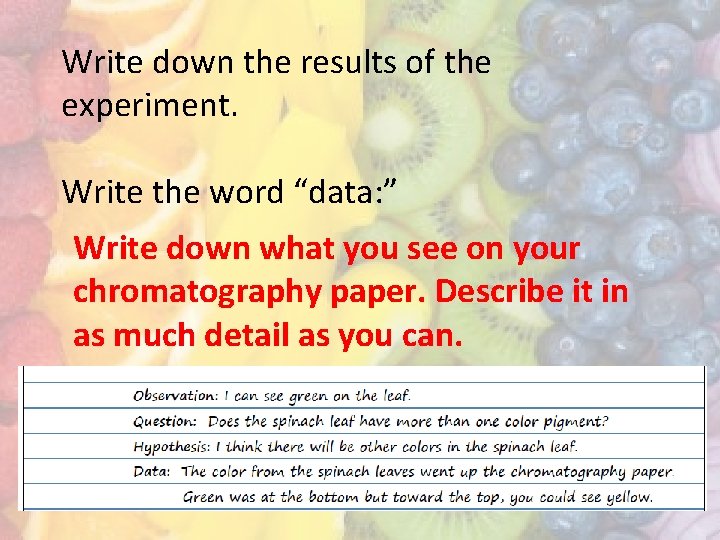 Pigment Chromatography Lab Diagram photosynthesis on your paper