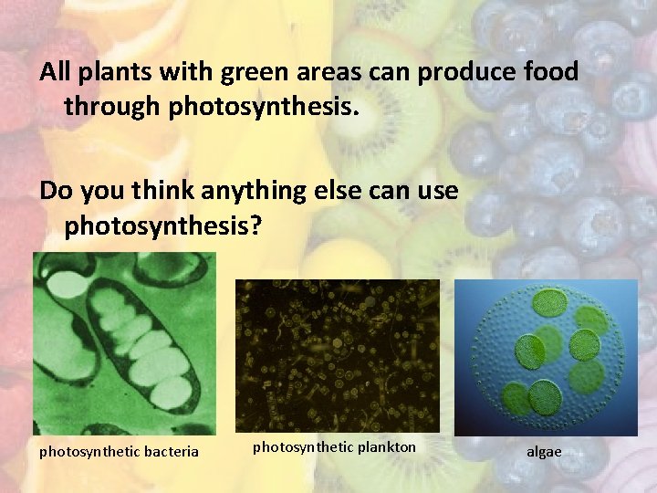 All plants with green areas can produce food through photosynthesis. Do you think anything