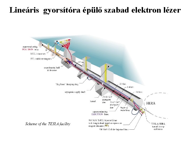 Lineáris gyorsítóra épülő szabad elektron lézer 