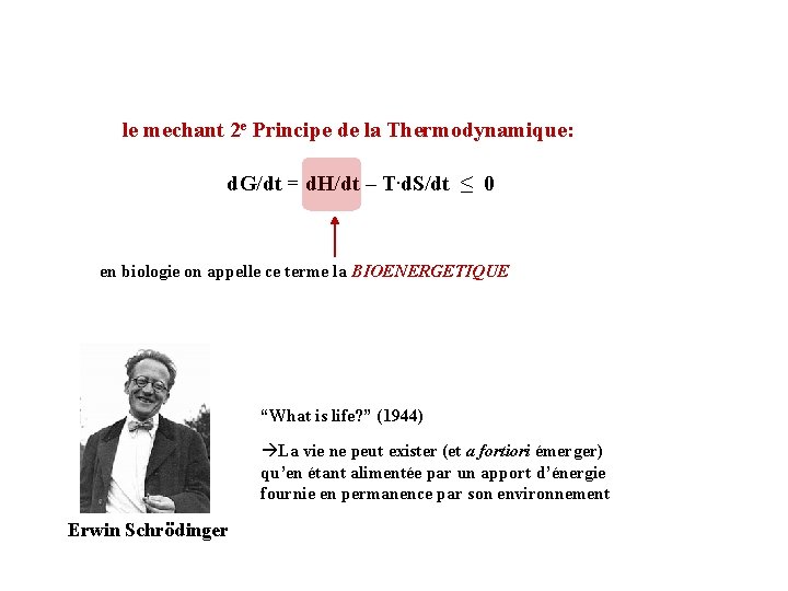 le mechant 2 e Principe de la Thermodynamique: d. G/dt = d. H/dt –