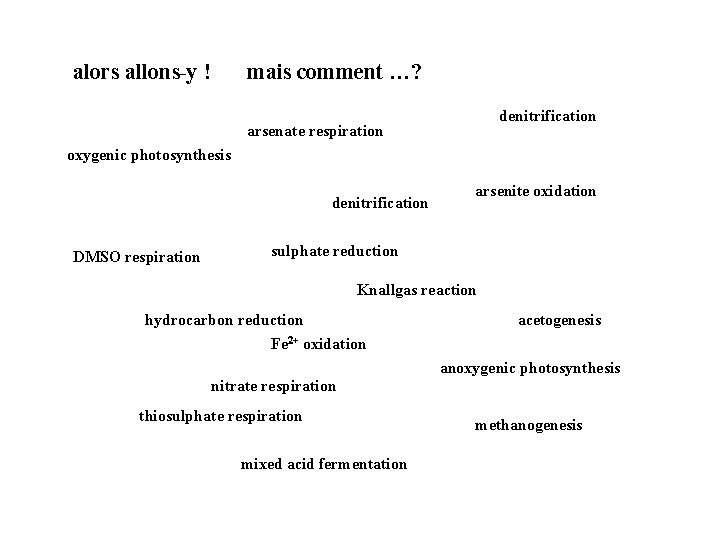 alors allons-y ! mais comment …? denitrification arsenate respiration oxygenic photosynthesis denitrification DMSO respiration