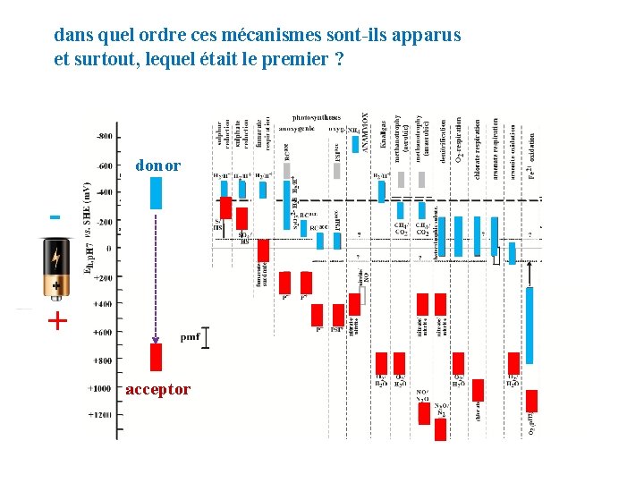 dans quel ordre ces mécanismes sont-ils apparus et surtout, lequel était le premier ?