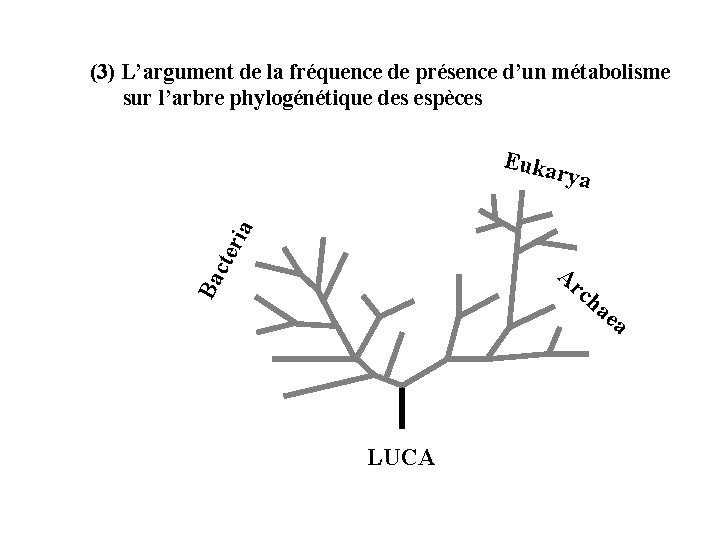 (3) L’argument de la fréquence de présence d’un métabolisme sur l’arbre phylogénétique des espèces