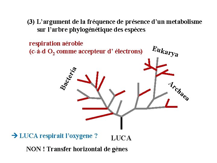 (3) L’argument de la fréquence de présence d’un metabolisme sur l’arbre phylogénétique des espèces