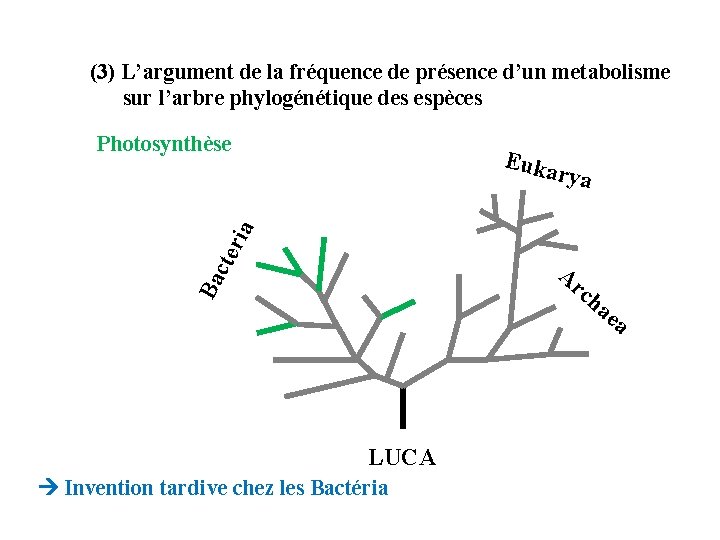 (3) L’argument de la fréquence de présence d’un metabolisme sur l’arbre phylogénétique des espèces