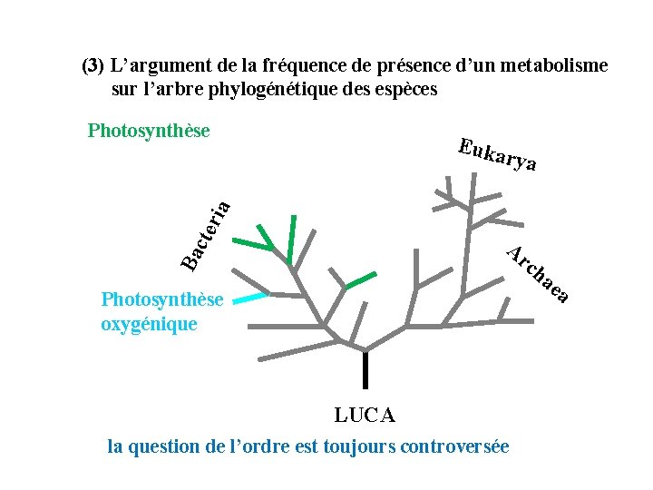 (3) L’argument de la fréquence de présence d’un metabolisme sur l’arbre phylogénétique des espèces