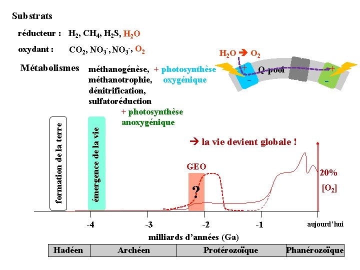 Substrats réducteur : H 2, CH 4, H 2 S, H 2 O oxydant