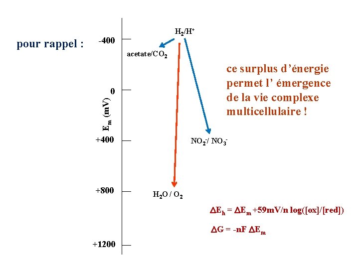 -400 acetate/CO 2 ce surplus d’énergie permet l’ émergence de la vie complexe multicellulaire