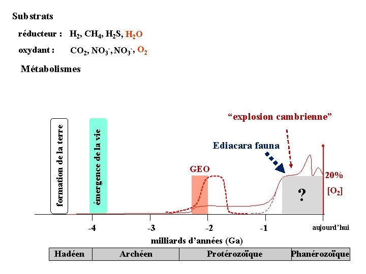 Substrats réducteur : H 2, CH 4, H 2 S, H 2 O oxydant